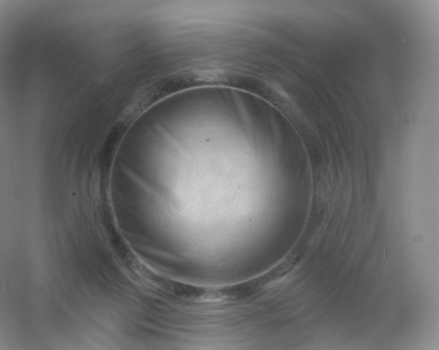 X0000054460213200508121946