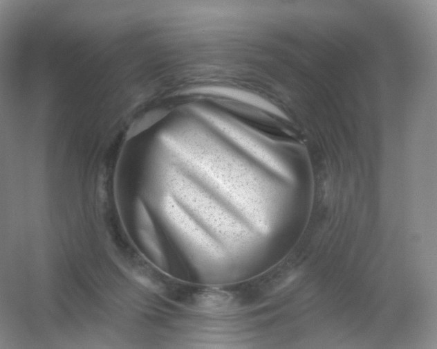 X0000054460215200508121946