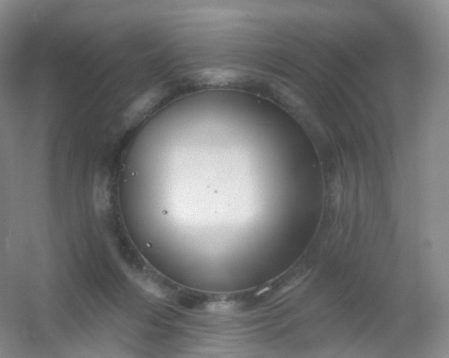 X0000054460216200508121946