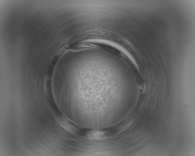 X0000054460217200508121946