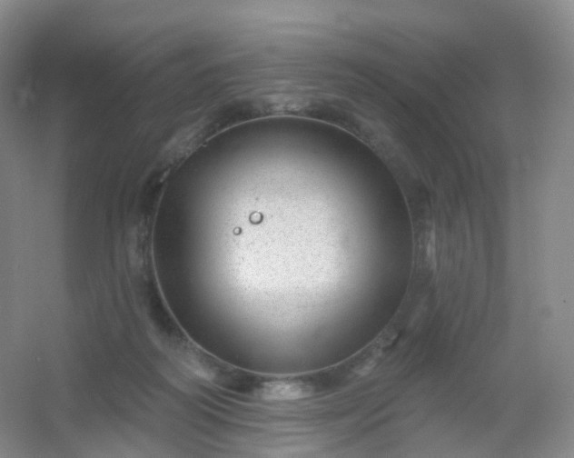 X0000054460218200508121946