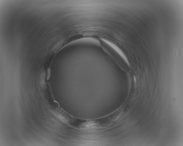 X0000054460219200508121946