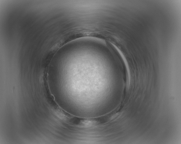 X0000054460221200508121946