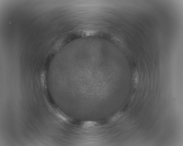 X0000054460222200508121946