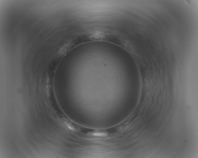 X0000054460223200508121946