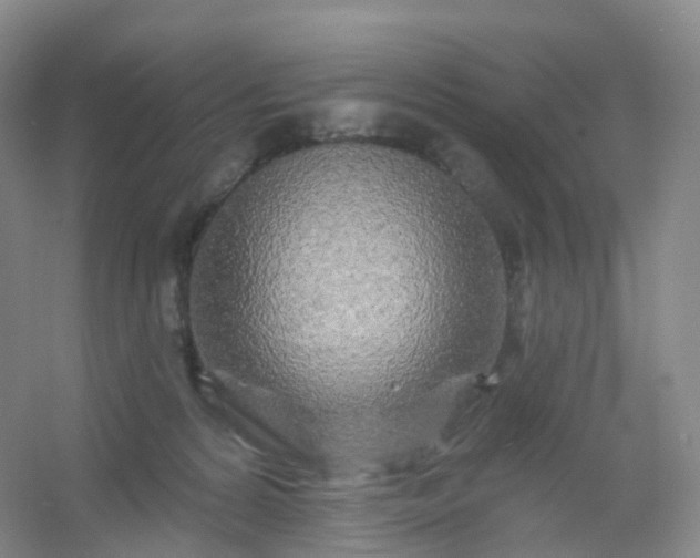 X0000054460224200508121946