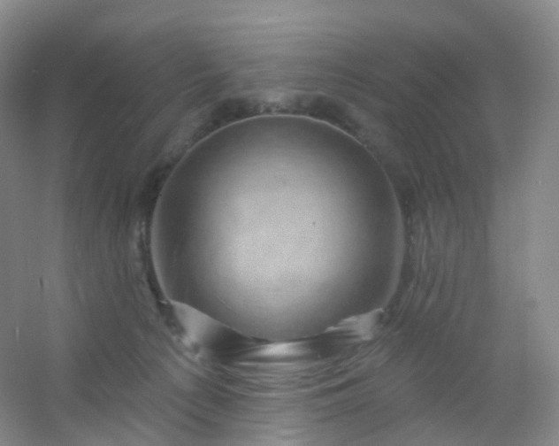 X0000054460225200508121945