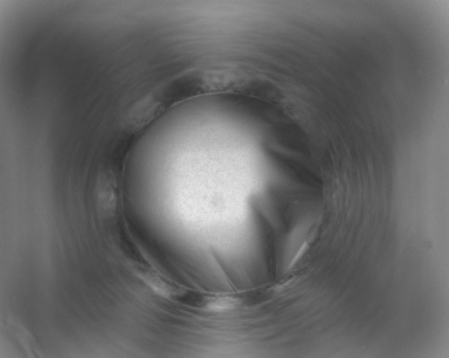 X0000054460226200508121945