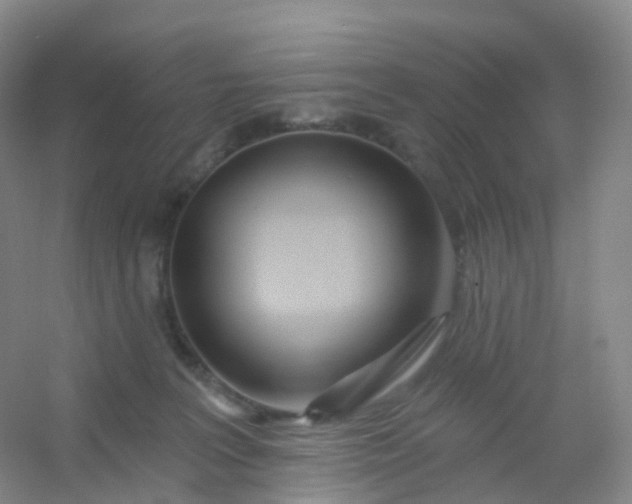 X0000054460227200508121945