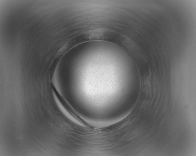 X0000054460228200508121945