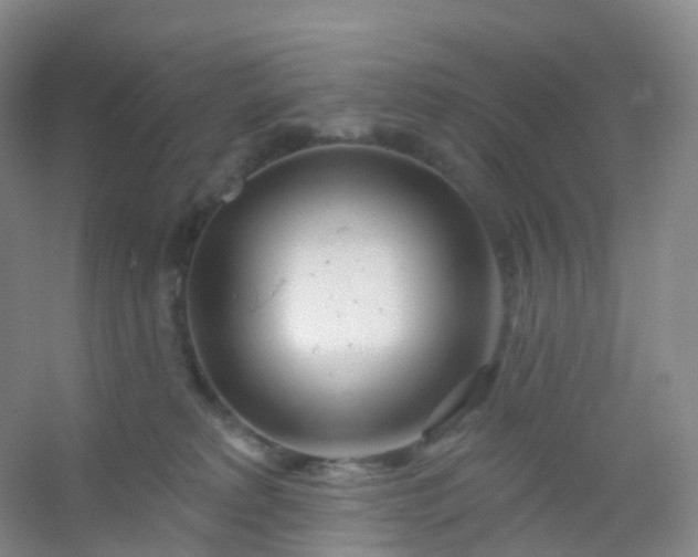 X0000054460229200508121945