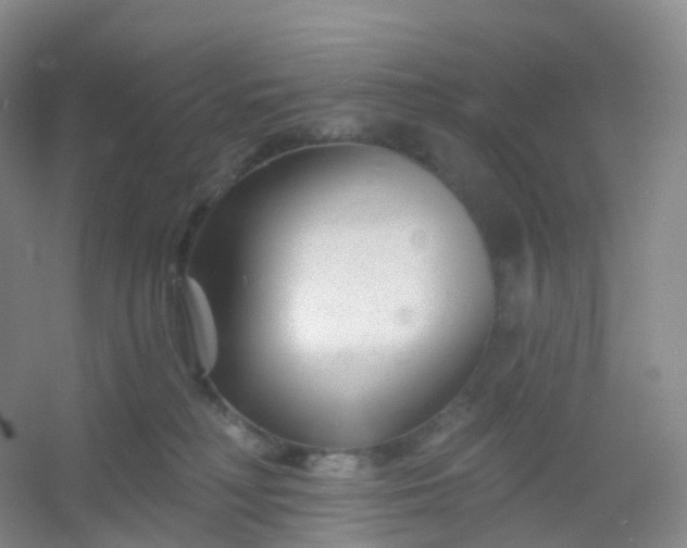 X0000054460230200508121945