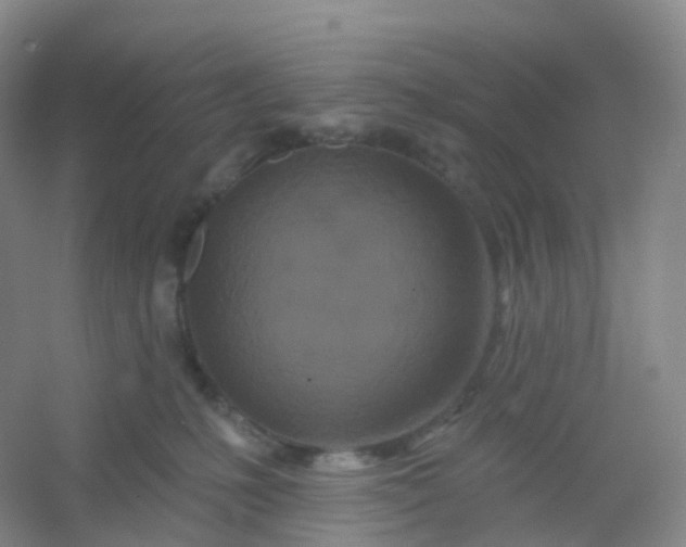 X0000054460231200508121945