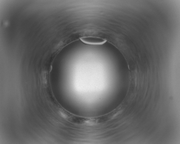 X0000054460232200508121945