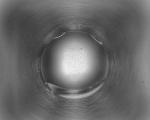 X0000054460233200508121945