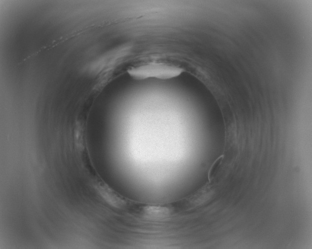 X0000054460234200508121945