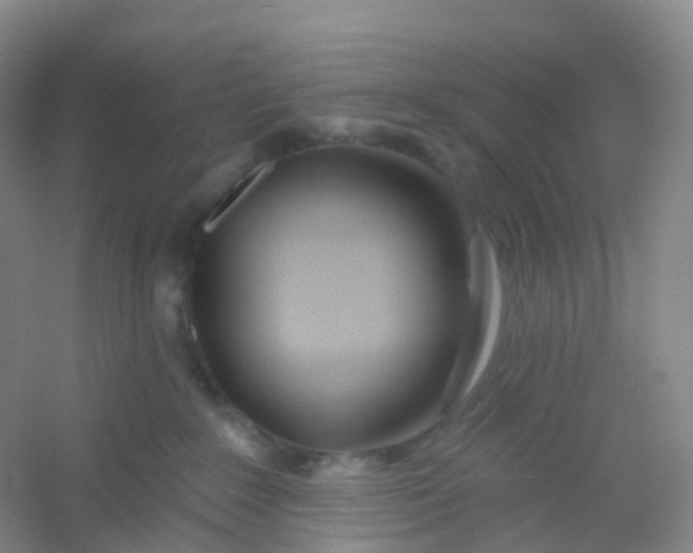 X0000054460235200508121945