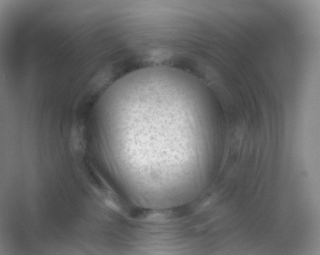 X0000054460236200508121945