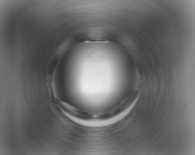 X0000054460237200508121945