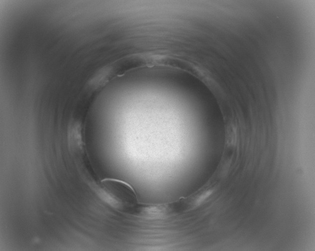 X0000054460238200508121945