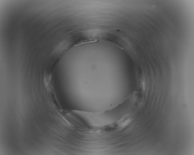 X0000054460239200508121945