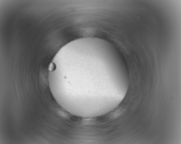 X0000054460240200508121945