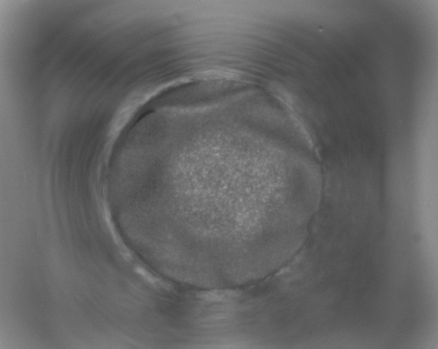 X0000054460241200508121944