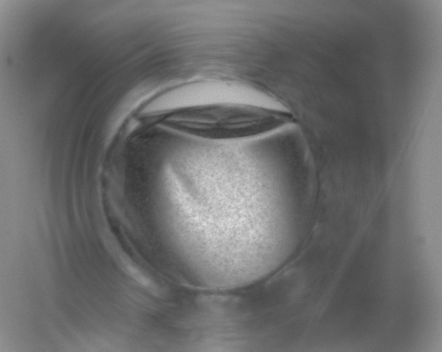 X0000054460242200508121944