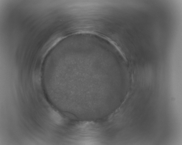 X0000054460243200508121944