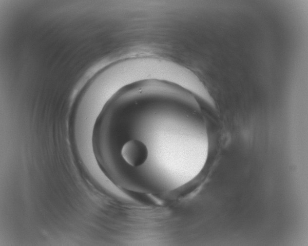 X0000054460244200508121944