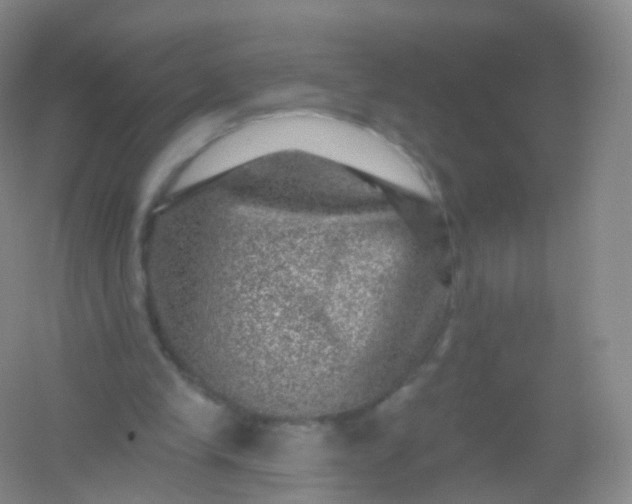 X0000054460245200508121944