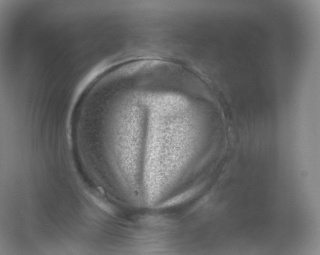 X0000054460246200508121944