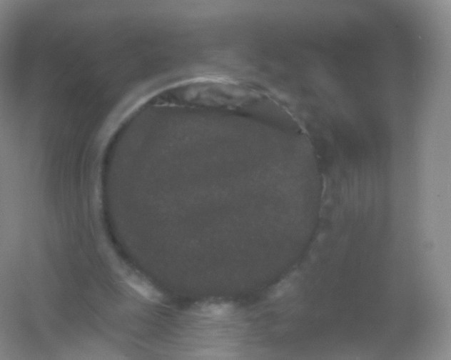 X0000054460247200508121945