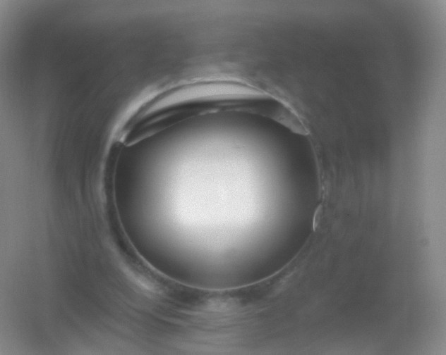 X0000054460248200508121945