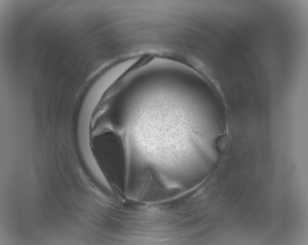 X0000054460249200508121945