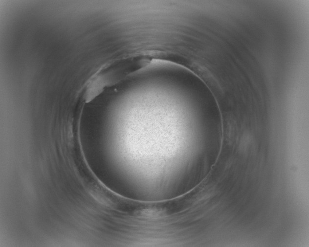 X0000054460251200508121945