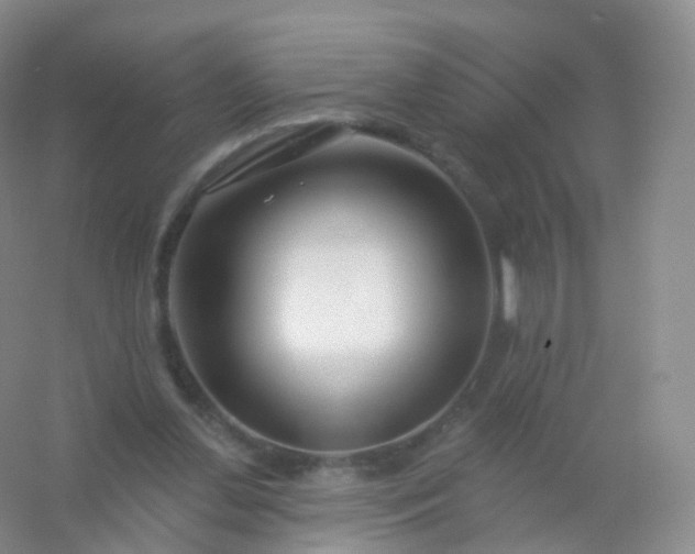 X0000054460252200508121945