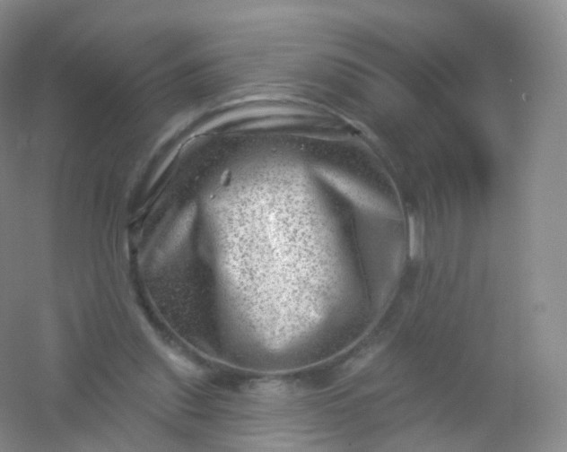 X0000054460253200508121945