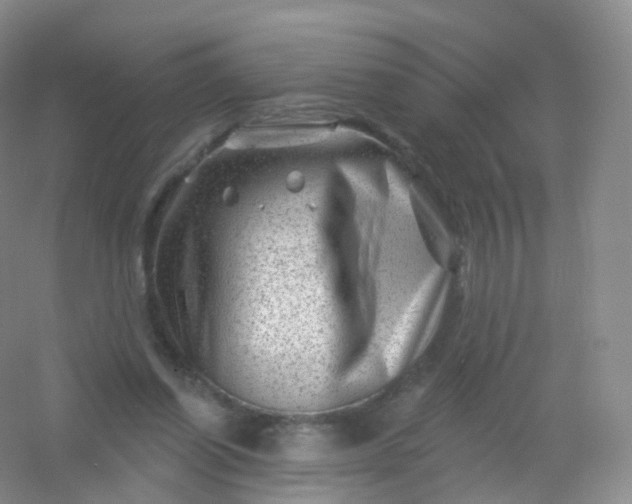 X0000054460254200508121945