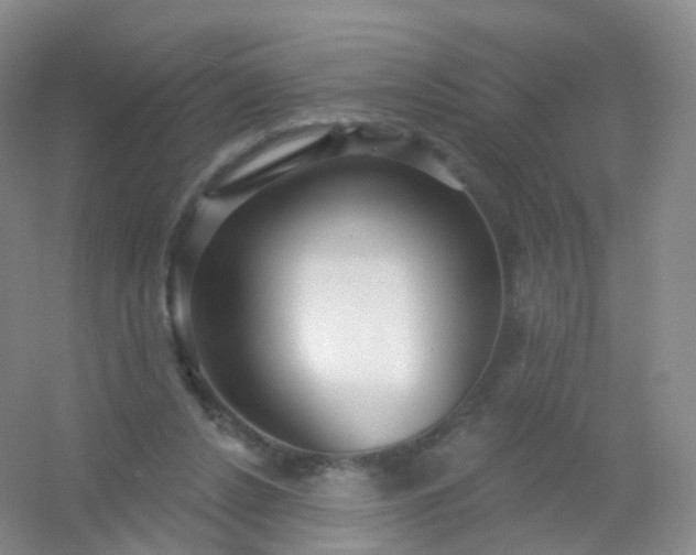 X0000054460256200508121945