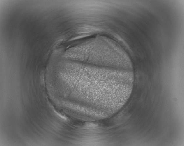 X0000054460257200508121945