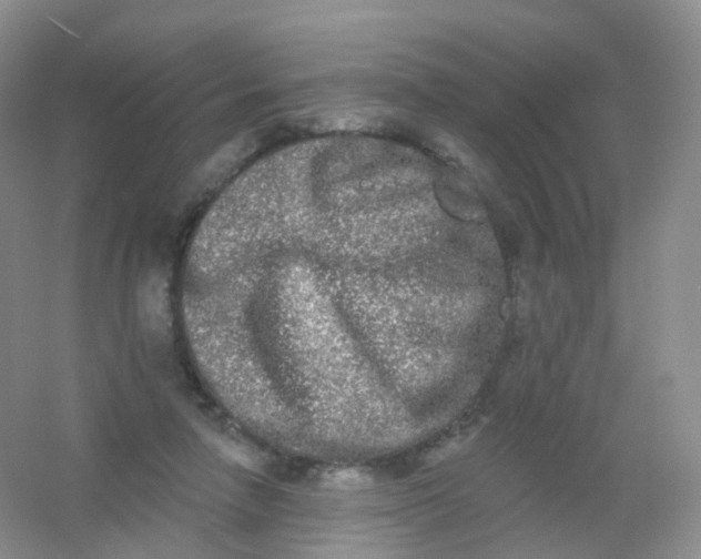 X0000054460258200508121945