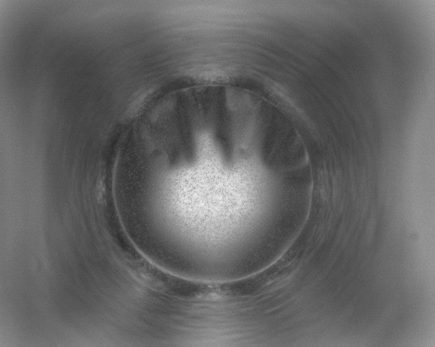 X0000054460259200508121945