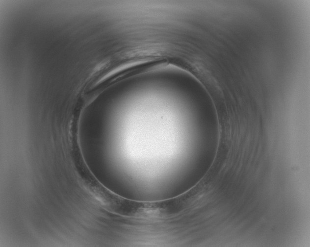 X0000054460260200508121945