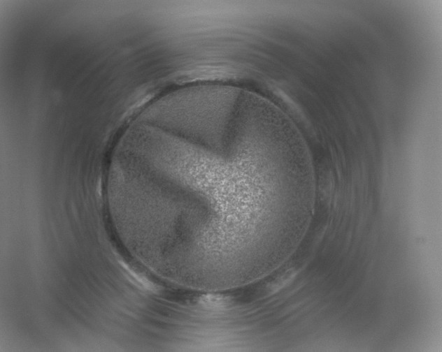 X0000054460261200508121945