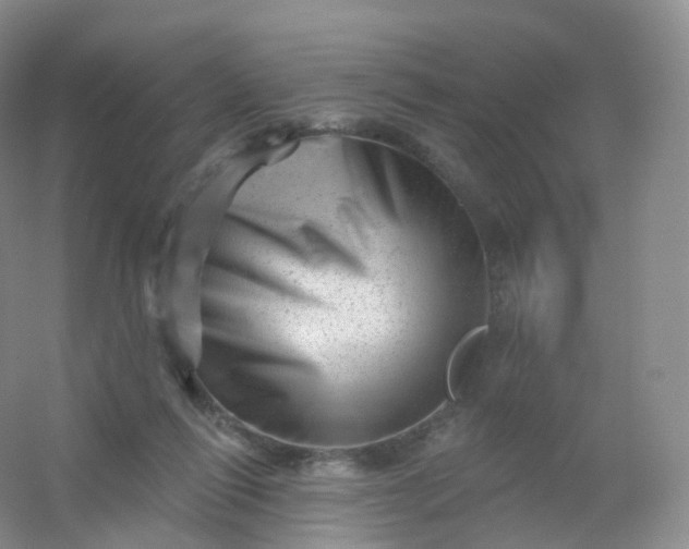 X0000054460262200508121945