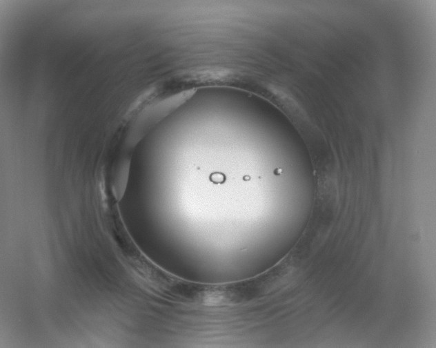 X0000054460264200508121945