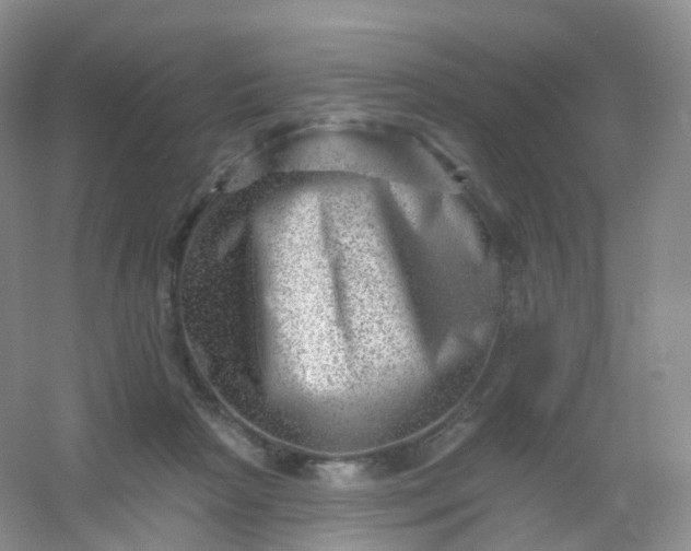 X0000054460265200508121945