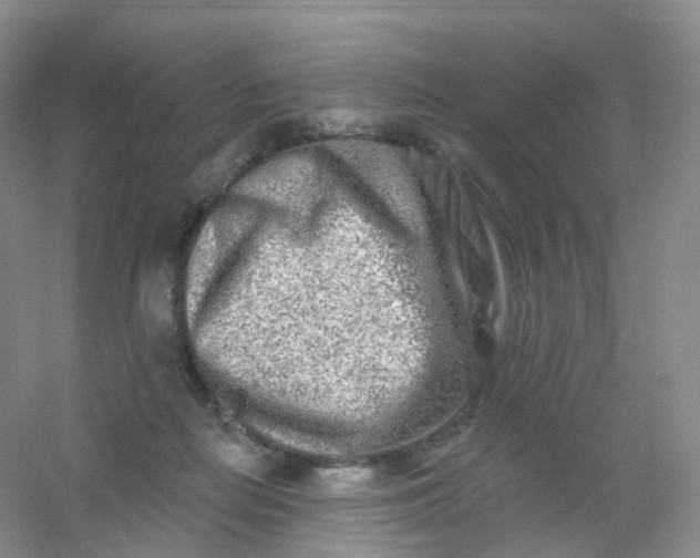 X0000054460266200508121945