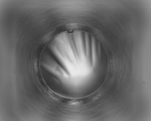 X0000054460267200508121945